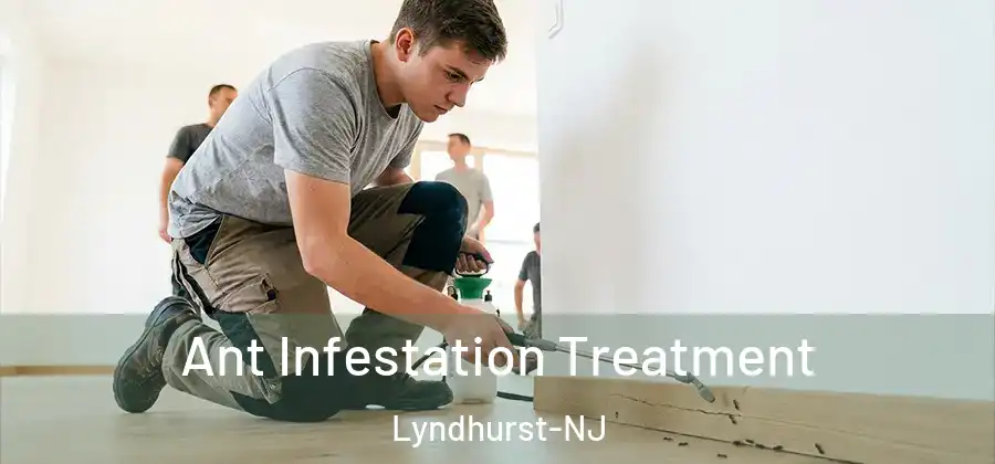 Ant Infestation Treatment Lyndhurst-NJ