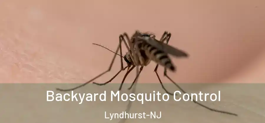  Backyard Mosquito Control Lyndhurst-NJ