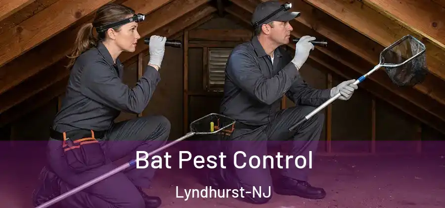  Bat Pest Control Lyndhurst-NJ