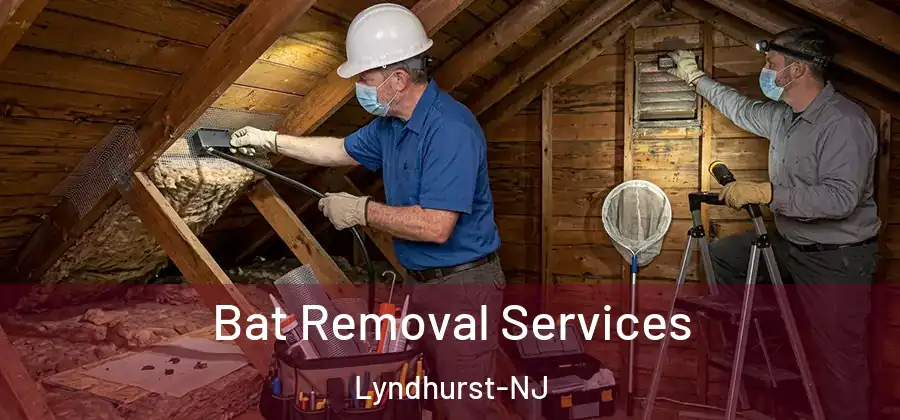  Bat Removal Services Lyndhurst-NJ