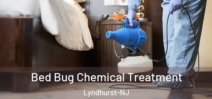  Bed Bug Chemical Treatment Lyndhurst-NJ