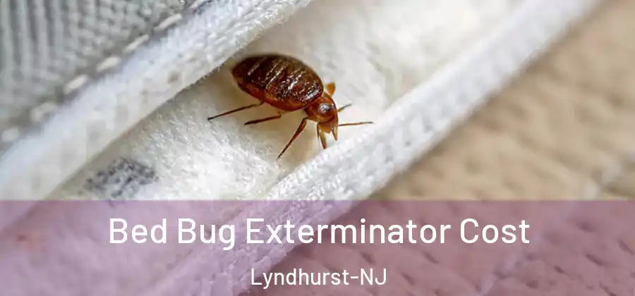  Bed Bug Exterminator Cost Lyndhurst-NJ