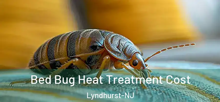 Bed Bug Heat Treatment Cost Lyndhurst-NJ