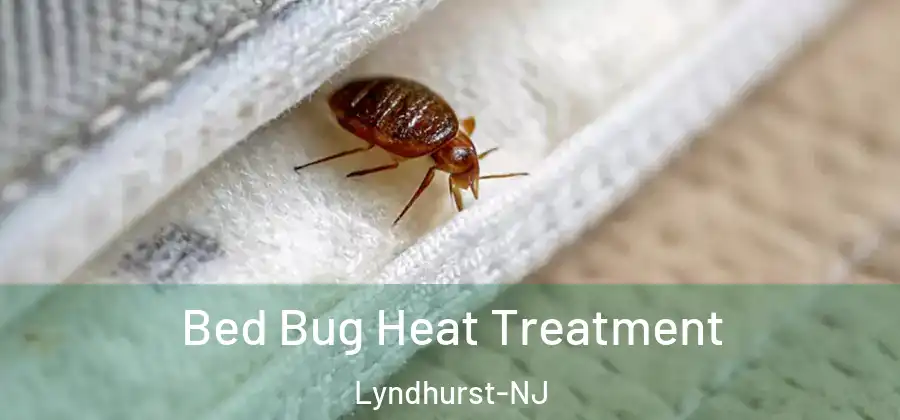 Bed Bug Heat Treatment Lyndhurst-NJ