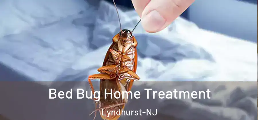 Bed Bug Home Treatment Lyndhurst-NJ