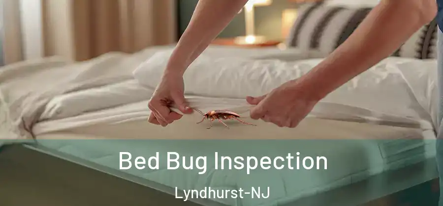 Bed Bug Inspection Lyndhurst-NJ