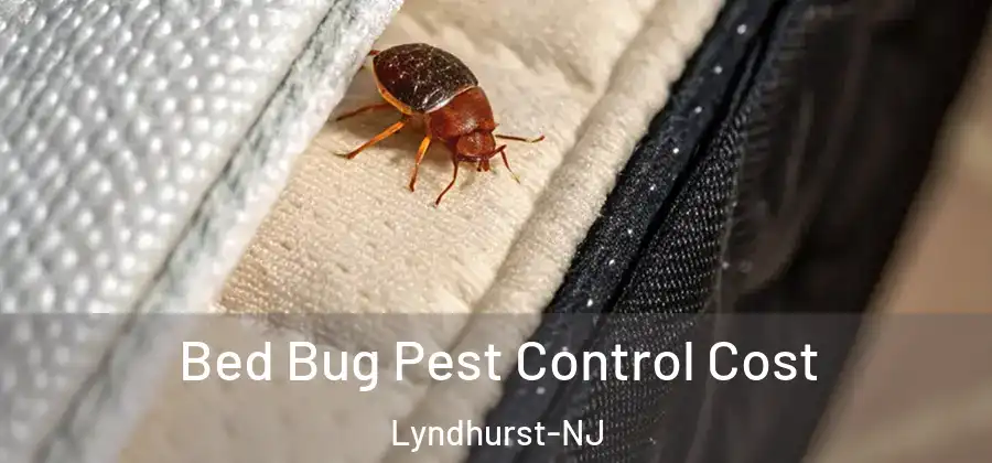  Bed Bug Pest Control Cost Lyndhurst-NJ