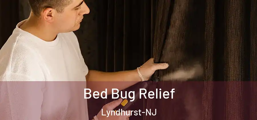 Bed Bug Relief Lyndhurst-NJ