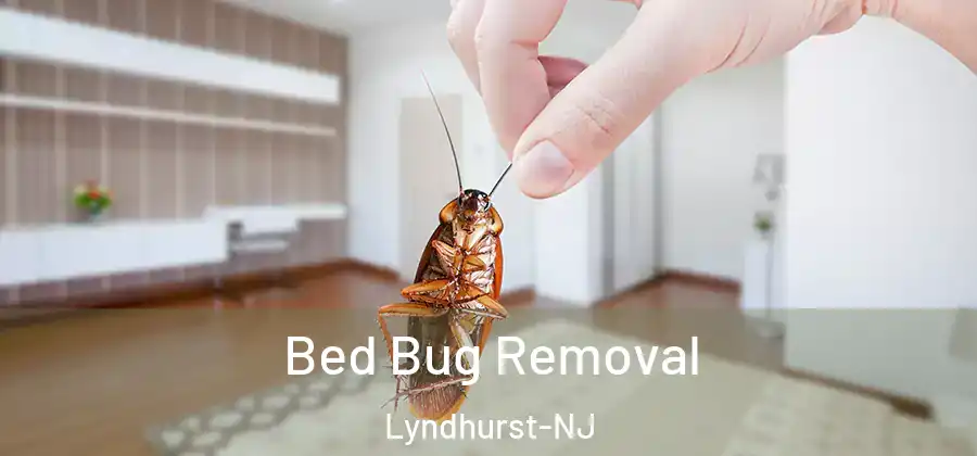 Bed Bug Removal Lyndhurst-NJ