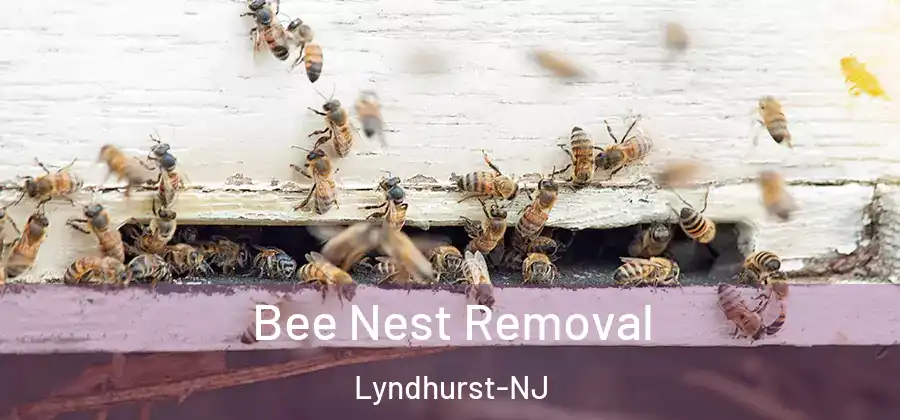 Bee Nest Removal Lyndhurst-NJ
