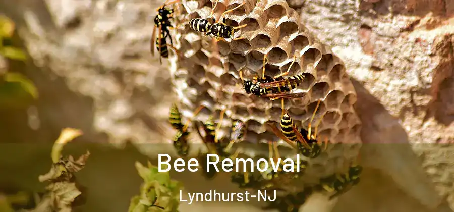  Bee Removal Lyndhurst-NJ