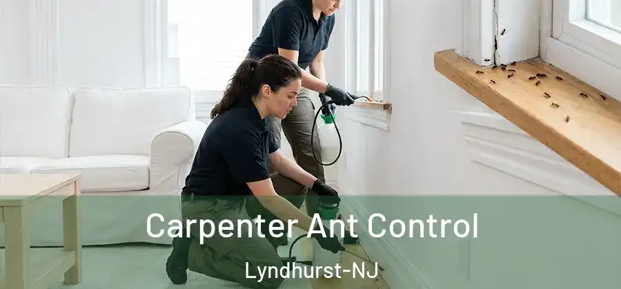 Carpenter Ant Control Lyndhurst-NJ