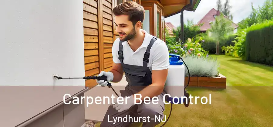 Carpenter Bee Control Lyndhurst-NJ