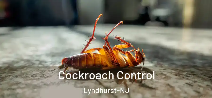Cockroach Control Lyndhurst-NJ