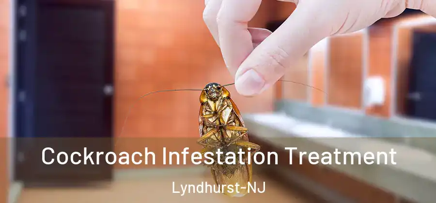 Cockroach Infestation Treatment Lyndhurst-NJ