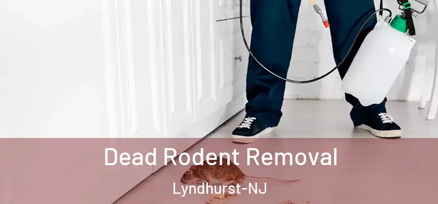 Dead Rodent Removal Lyndhurst-NJ