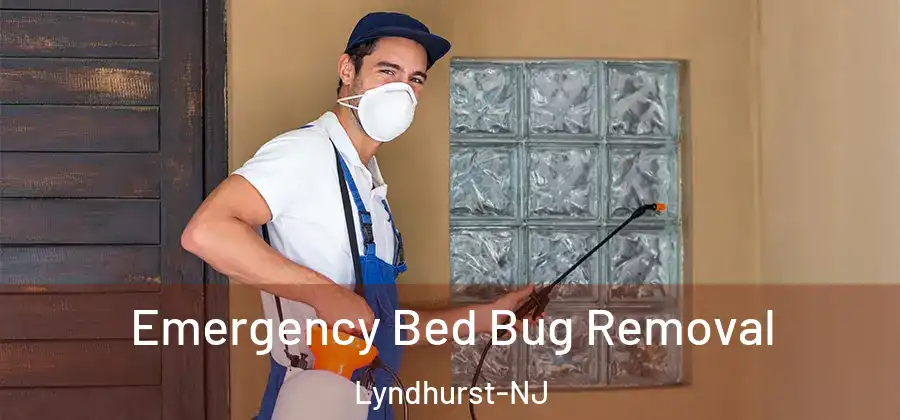 Emergency Bed Bug Removal Lyndhurst-NJ