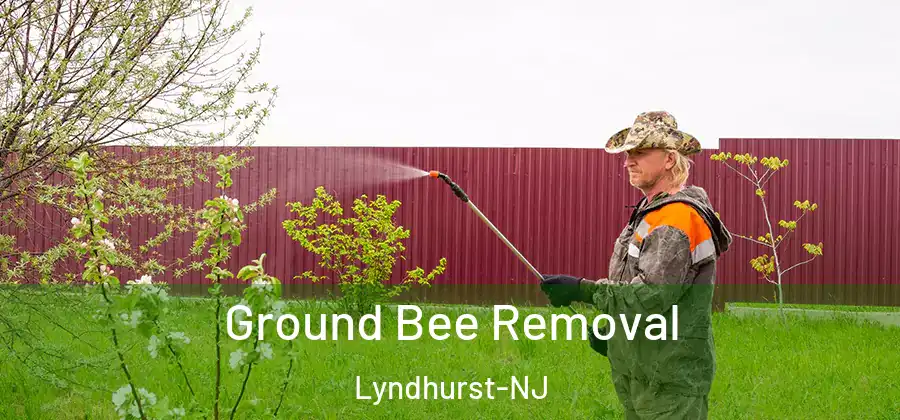  Ground Bee Removal Lyndhurst-NJ