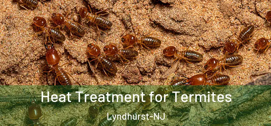  Heat Treatment for Termites Lyndhurst-NJ