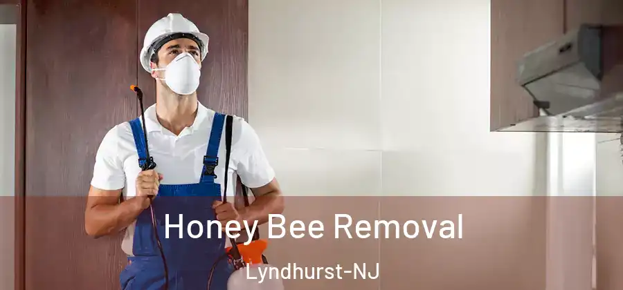  Honey Bee Removal Lyndhurst-NJ