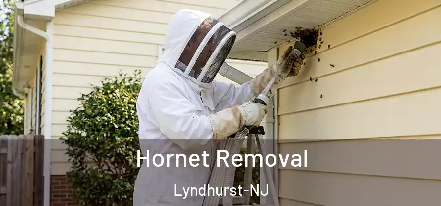  Hornet Removal Lyndhurst-NJ