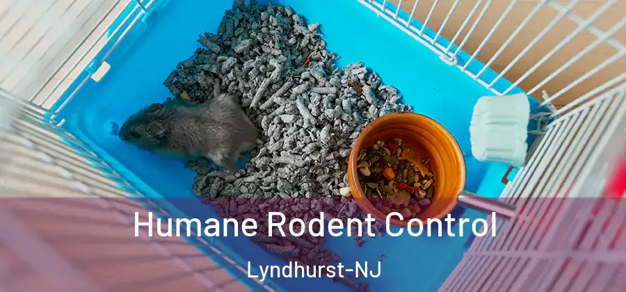  Humane Rodent Control Lyndhurst-NJ