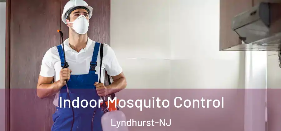  Indoor Mosquito Control Lyndhurst-NJ