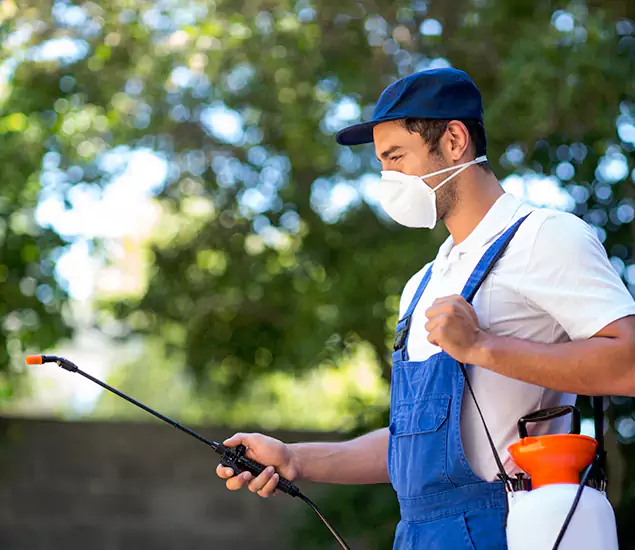 Your Trusted Flea and Tick Control in Lyndhurst, NJ