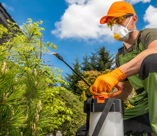 Your Mosquito Repellent Barrier Service in Lyndhurst, NJ