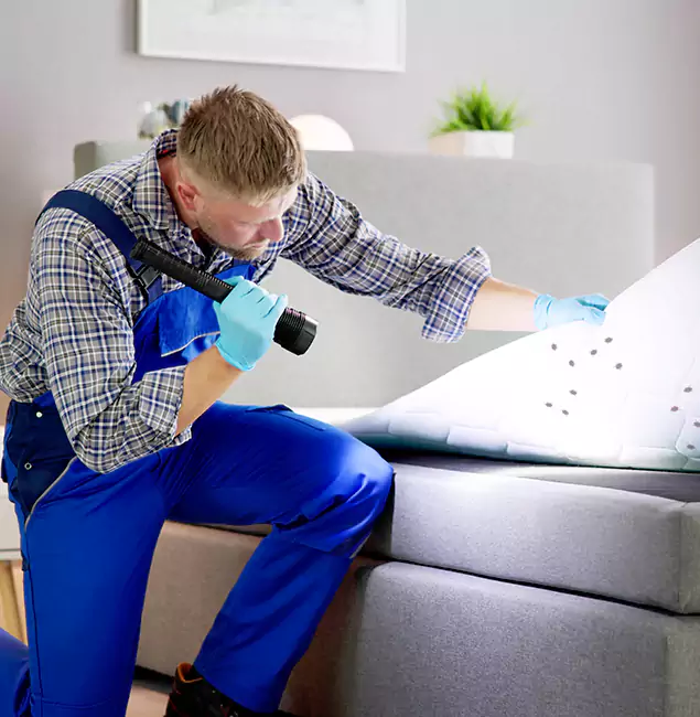 Why Choose Lyndhurst Pest Control Pro for Bed Bug Exterminator Cost in Lyndhurst, NJ?