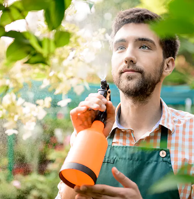 Why Lyndhurst Homeowners Call Lyndhurst Pest Control Pro for Mosquitoes in House?