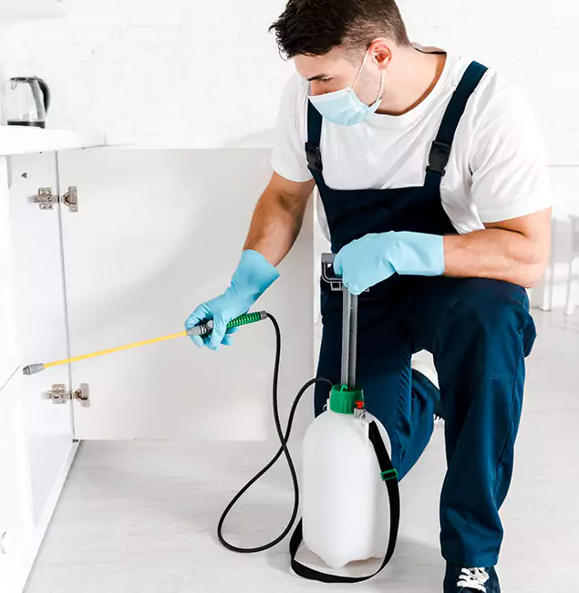 Why Choose Lyndhurst Pest Control Pro for Termite Spot Treatment in Lyndhurst, NJ?