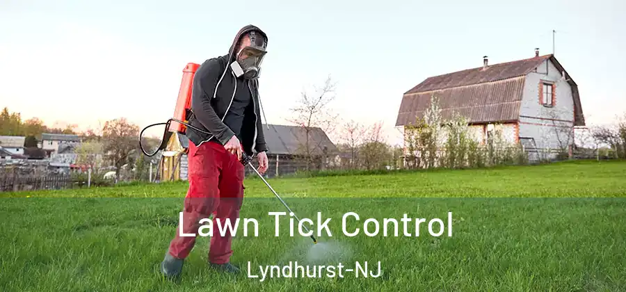  Lawn Tick Control Lyndhurst-NJ
