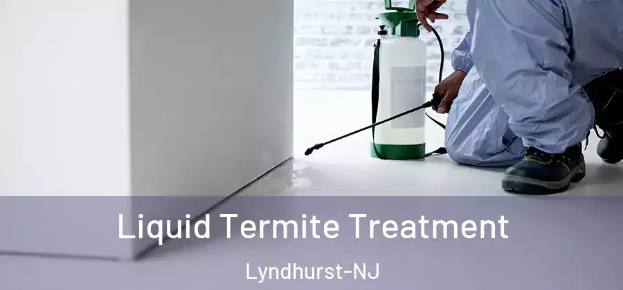  Liquid Termite Treatment Lyndhurst-NJ