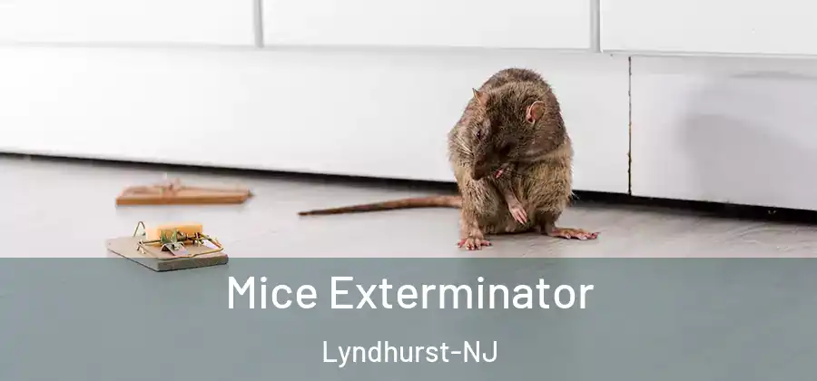  Mice Exterminator Lyndhurst-NJ
