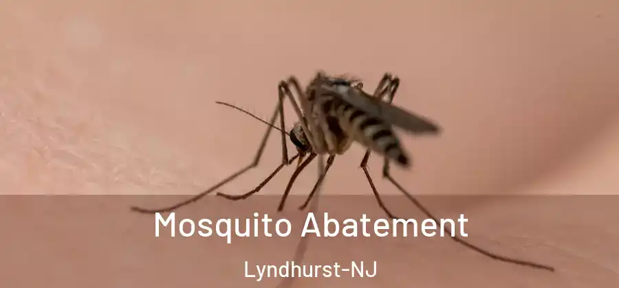 Mosquito Abatement Lyndhurst-NJ