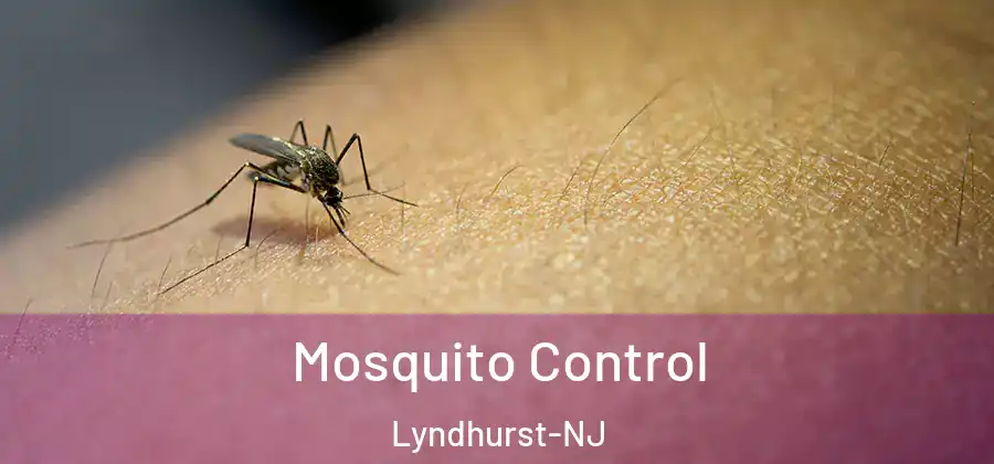 Mosquito Control Lyndhurst-NJ