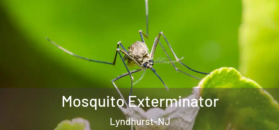  Mosquito Exterminator Lyndhurst-NJ