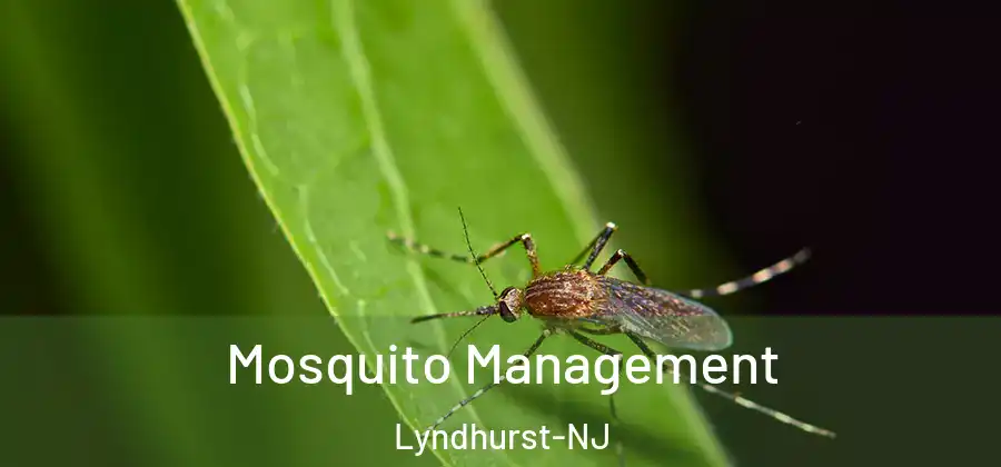  Mosquito Management Lyndhurst-NJ