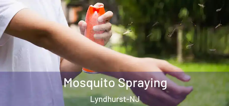 Mosquito Spraying Lyndhurst-NJ