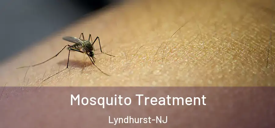 Mosquito Treatment Lyndhurst-NJ