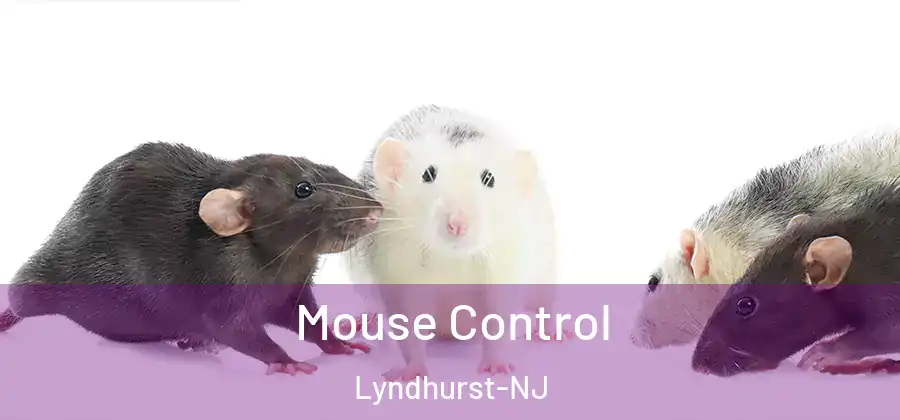 Mouse Control Lyndhurst-NJ