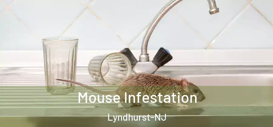 Mouse Infestation Lyndhurst-NJ