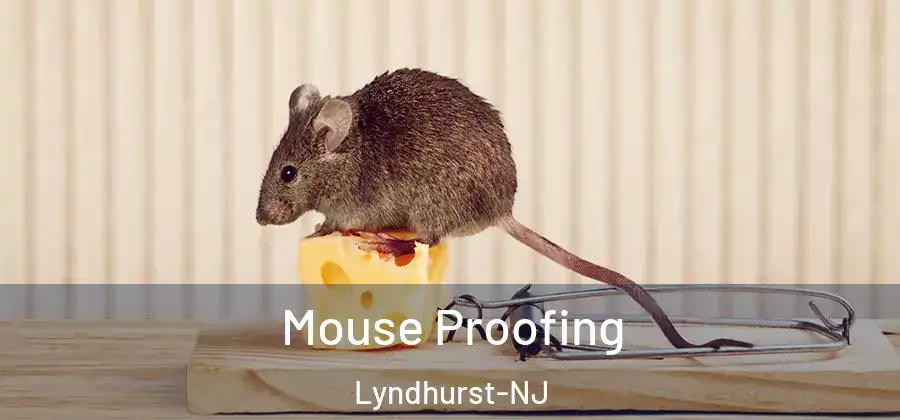 Mouse Proofing Lyndhurst-NJ