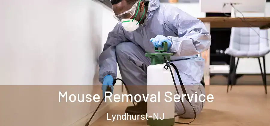 Mouse Removal Service Lyndhurst-NJ