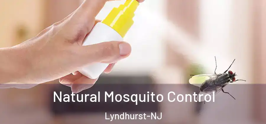 Natural Mosquito Control Lyndhurst-NJ