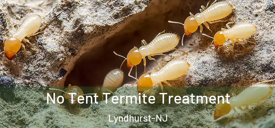 No Tent Termite Treatment Lyndhurst-NJ