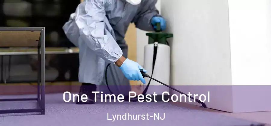 One Time Pest Control Lyndhurst-NJ
