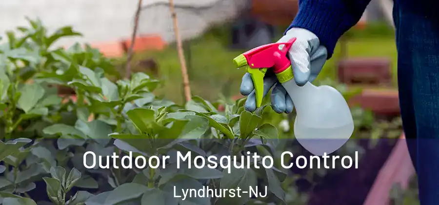 Outdoor Mosquito Control Lyndhurst-NJ