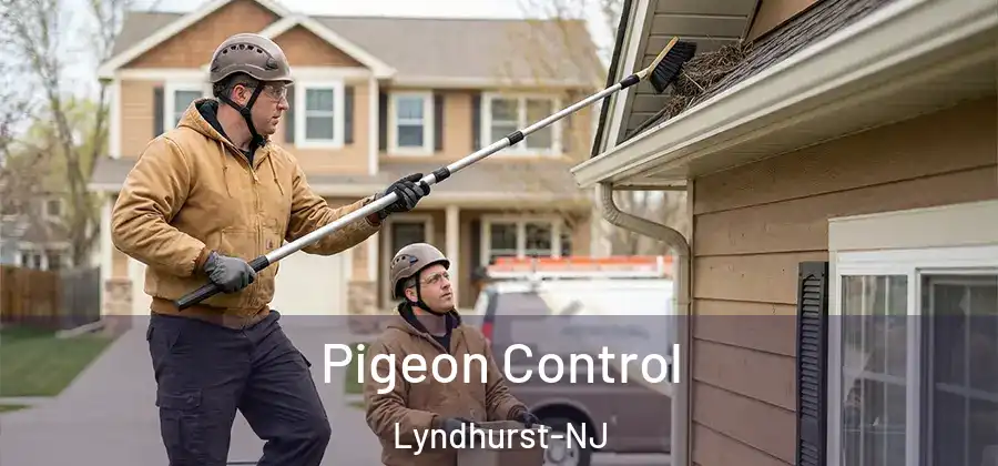 Pigeon Control Lyndhurst-NJ